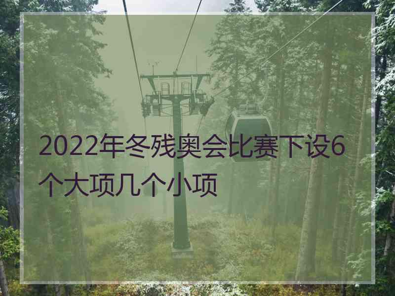 2022年冬残奥会比赛下设6个大项几个小项