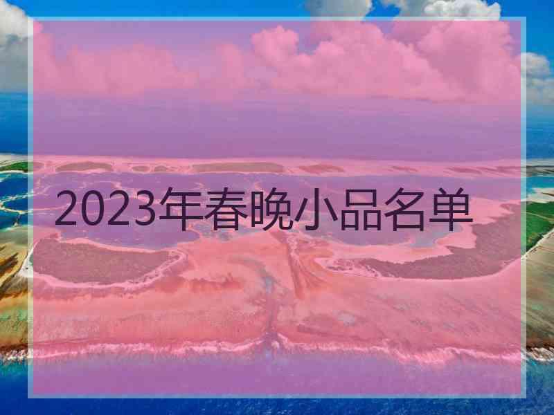 2023年春晚小品名单