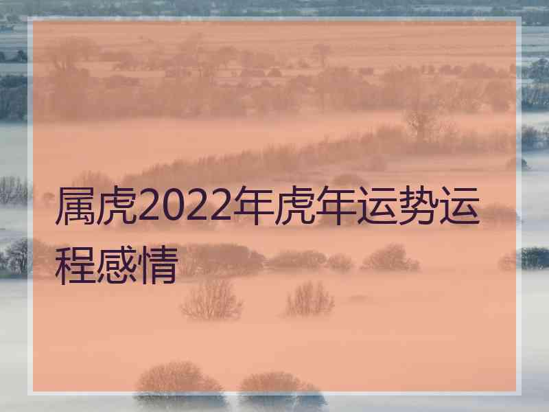 属虎2022年虎年运势运程感情