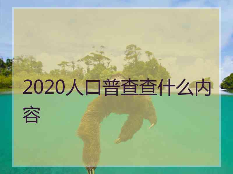 2020人口普查查什么内容