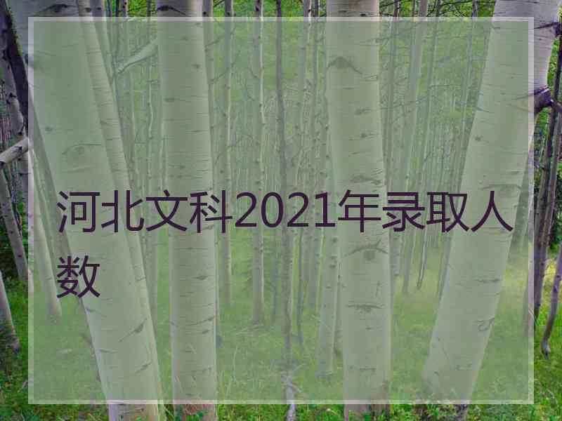 河北文科2021年录取人数