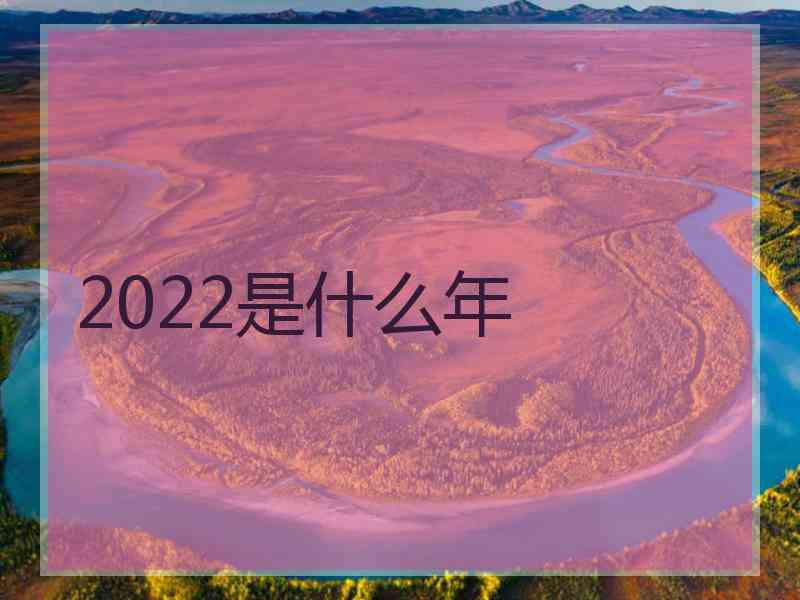 2022是什么年