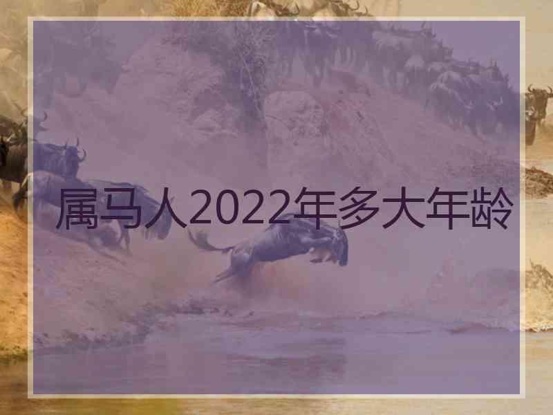 属马人2022年多大年龄