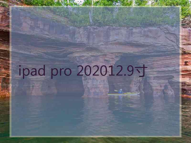 ipad pro 202012.9寸