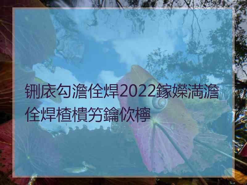 铏庡勾澹佺焊2022鎵嬫満澹佺焊楂樻竻鑰佽檸