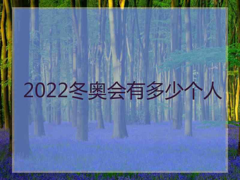 2022冬奥会有多少个人