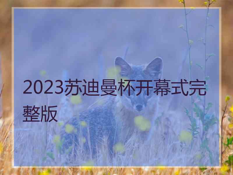 2023苏迪曼杯开幕式完整版