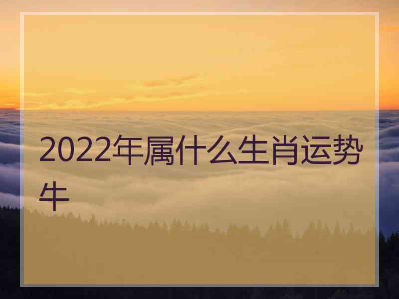 2022年属什么生肖运势牛