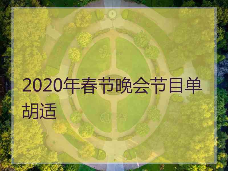 2020年春节晚会节目单胡适