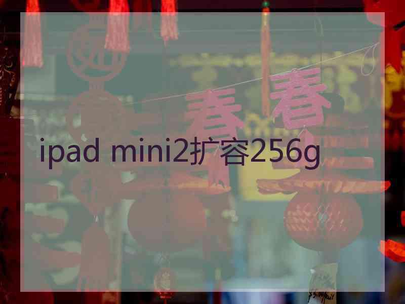 ipad mini2扩容256g