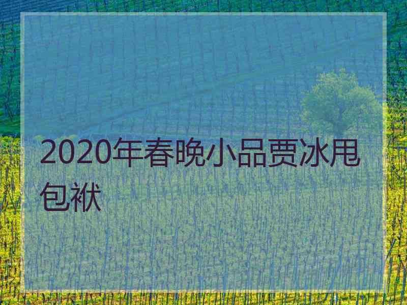 2020年春晚小品贾冰甩包袱