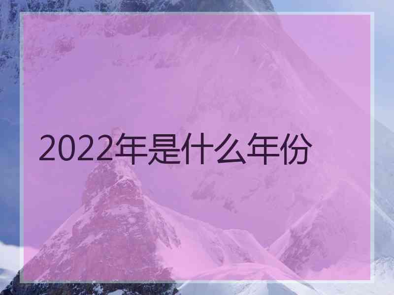 2022年是什么年份