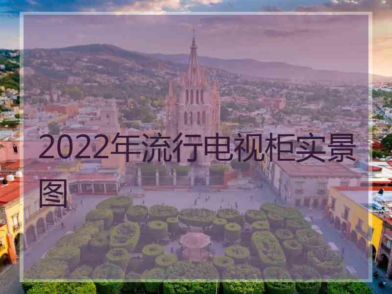 2022年流行电视柜实景图