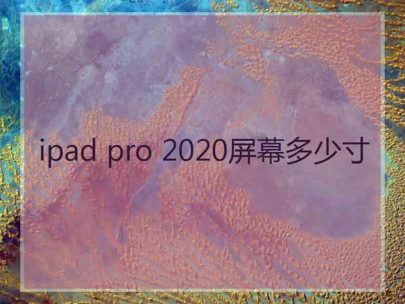 ipad pro 2020屏幕多少寸