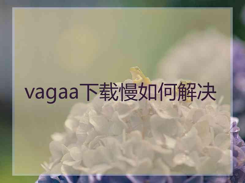 vagaa下载慢如何解决