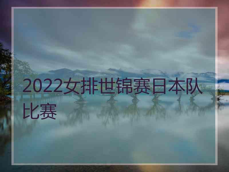 2022女排世锦赛日本队比赛