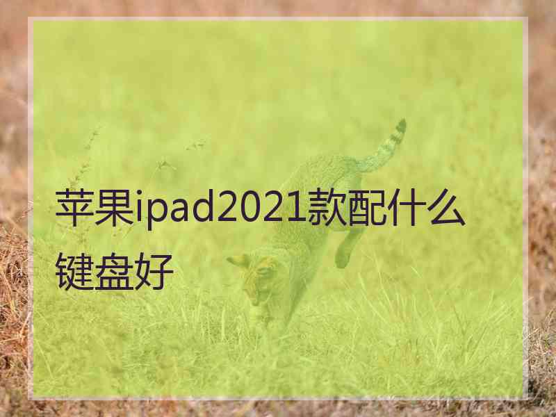 苹果ipad2021款配什么键盘好