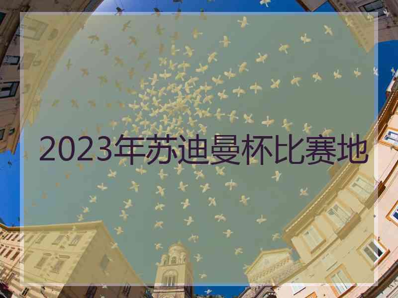 2023年苏迪曼杯比赛地