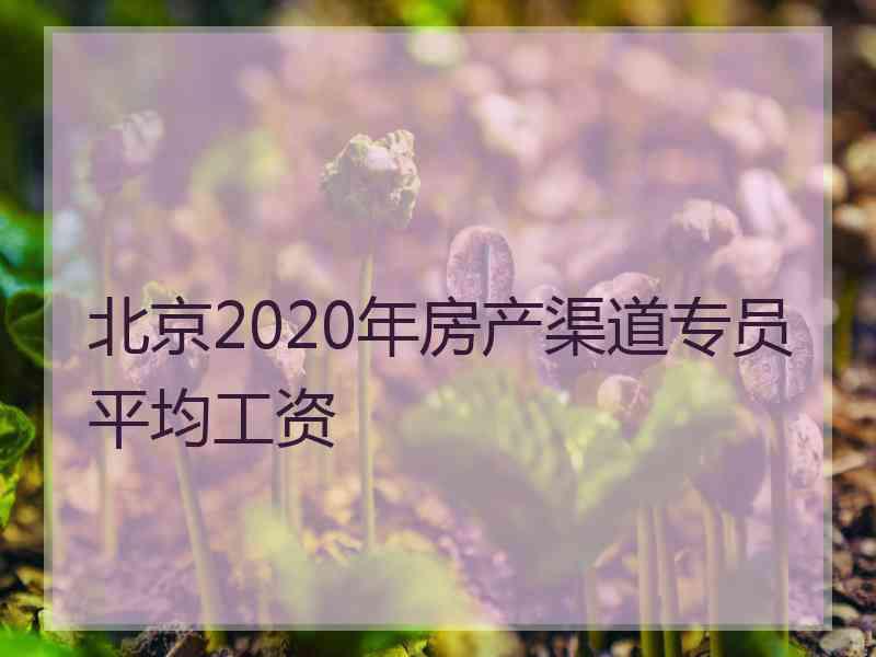 北京2020年房产渠道专员平均工资