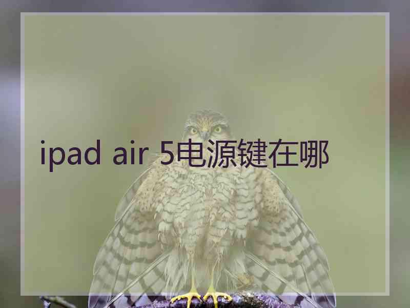 ipad air 5电源键在哪