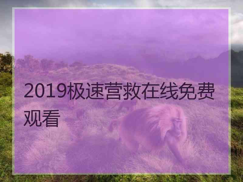 2019极速营救在线免费观看