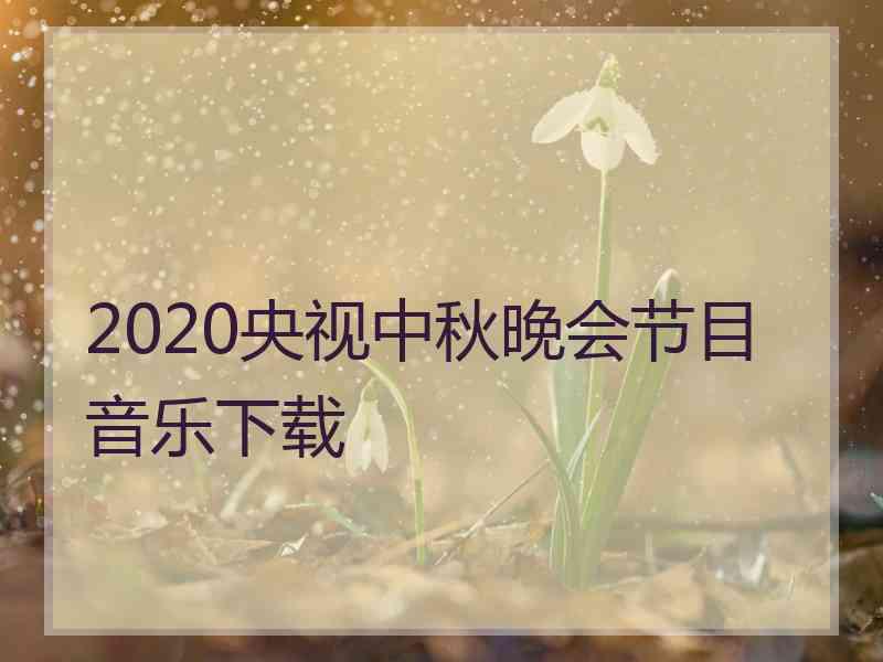 2020央视中秋晚会节目音乐下载