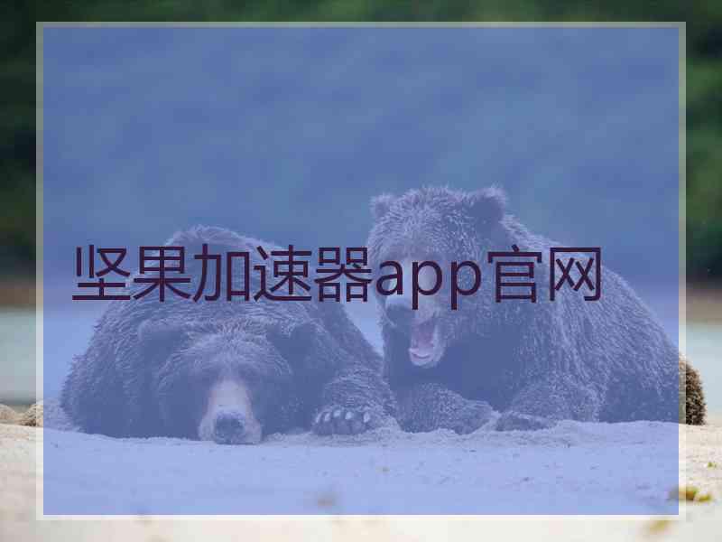 坚果加速器app官网