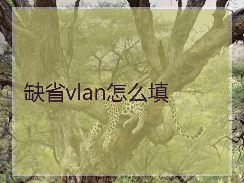 缺省vlan怎么填