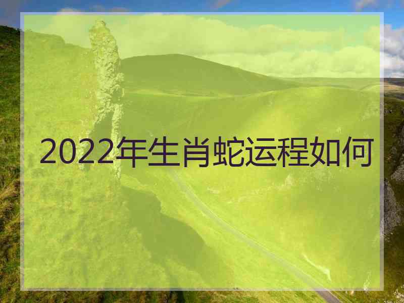 2022年生肖蛇运程如何