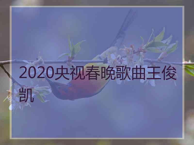 2020央视春晚歌曲王俊凯