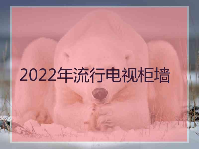 2022年流行电视柜墙