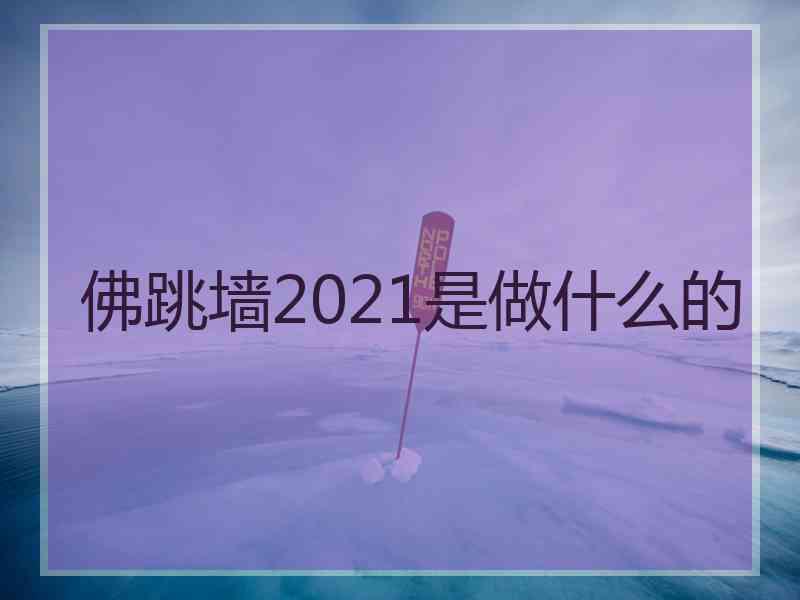 佛跳墙2021是做什么的