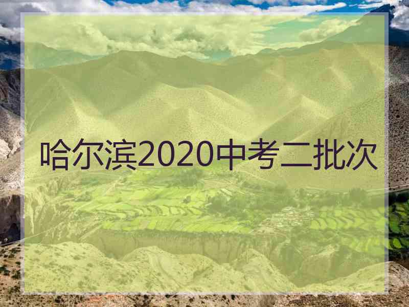 哈尔滨2020中考二批次