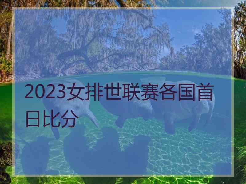 2023女排世联赛各国首日比分