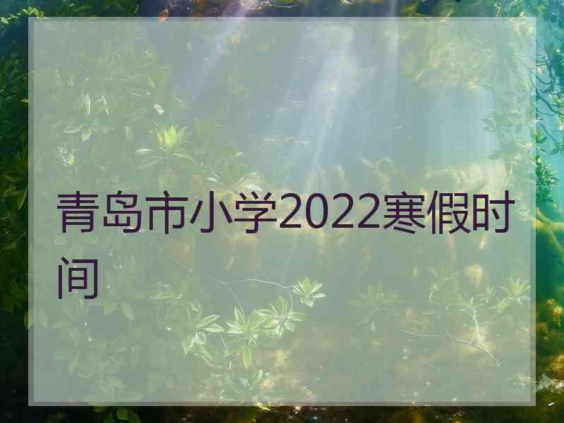 青岛市小学2022寒假时间