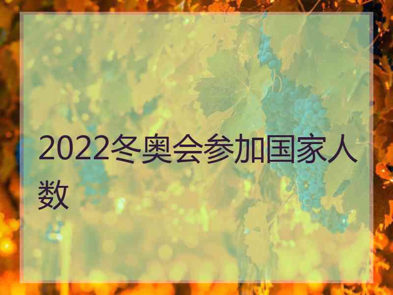 2022冬奥会参加国家人数