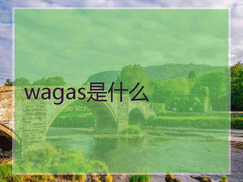 wagas是什么