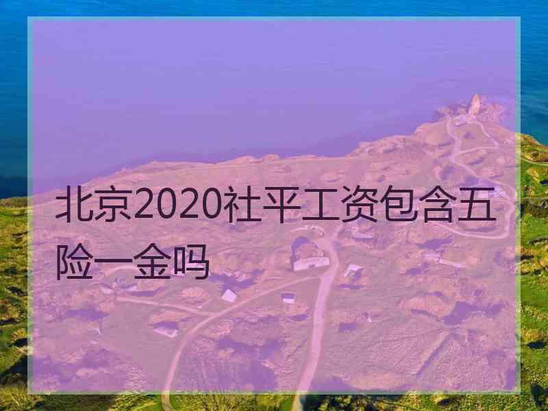 北京2020社平工资包含五险一金吗