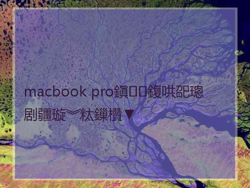 macbook pro鎭㈠鍑哄巶璁剧疆璇︾粏鏁欑▼