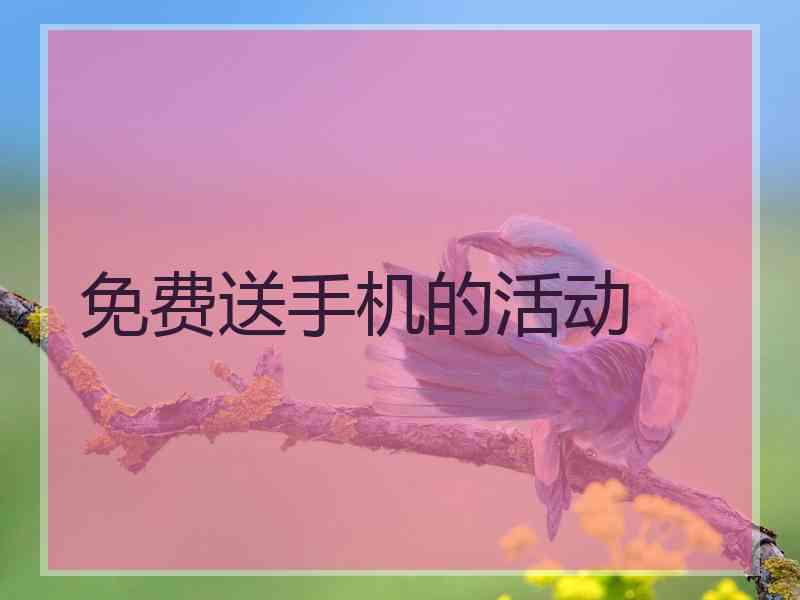 免费送手机的活动