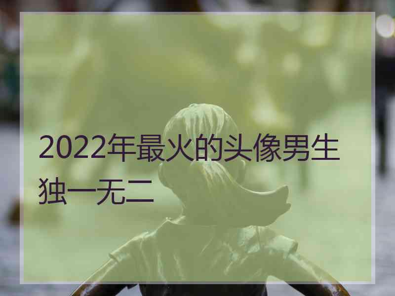 2022年最火的头像男生独一无二