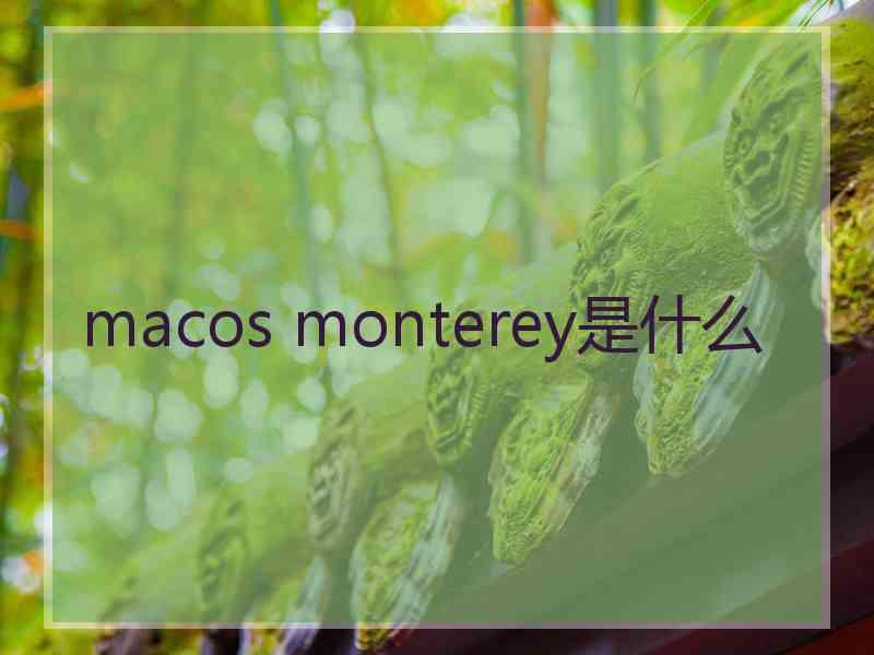 macos monterey是什么