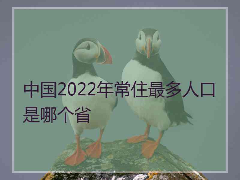 中国2022年常住最多人口是哪个省