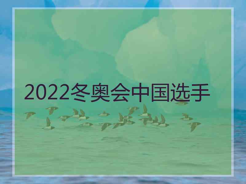 2022冬奥会中国选手