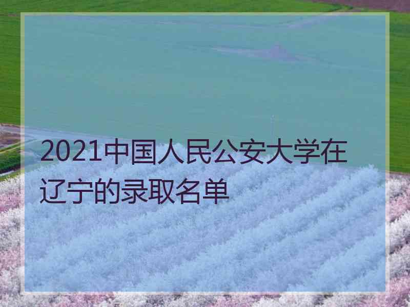 2021中国人民公安大学在辽宁的录取名单