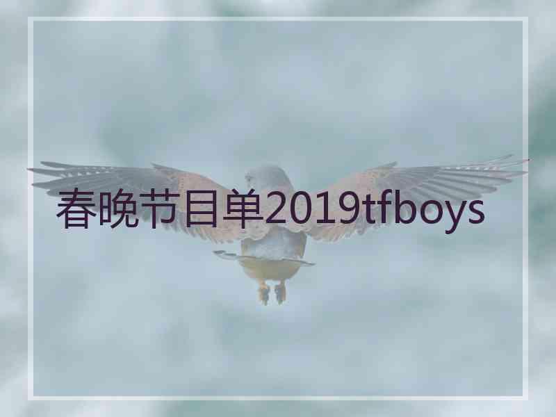 春晚节目单2019tfboys