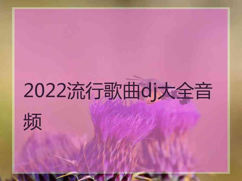 2022流行歌曲dj大全音频