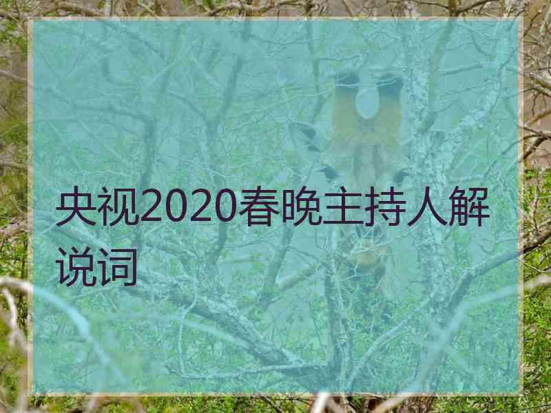 央视2020春晚主持人解说词