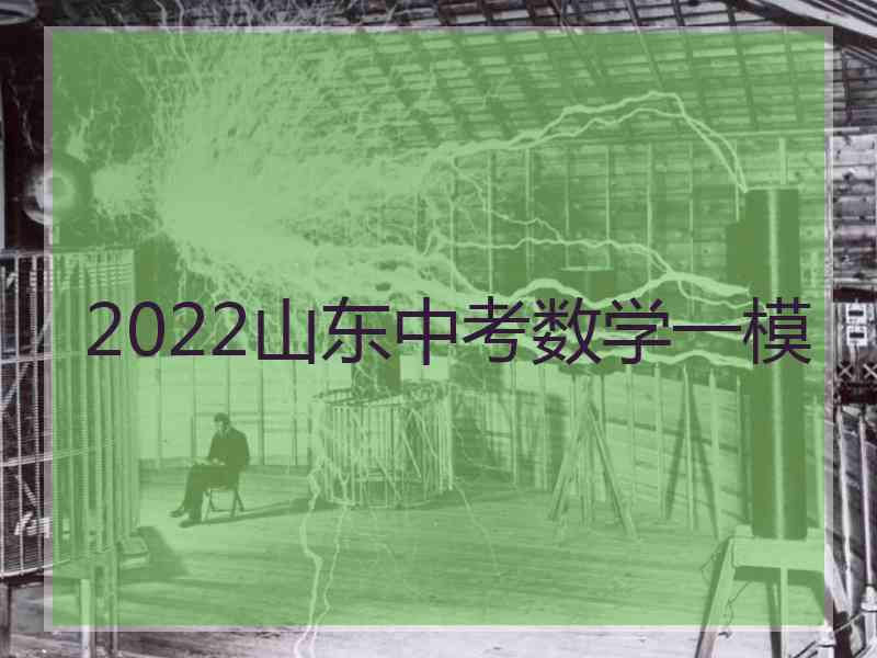 2022山东中考数学一模