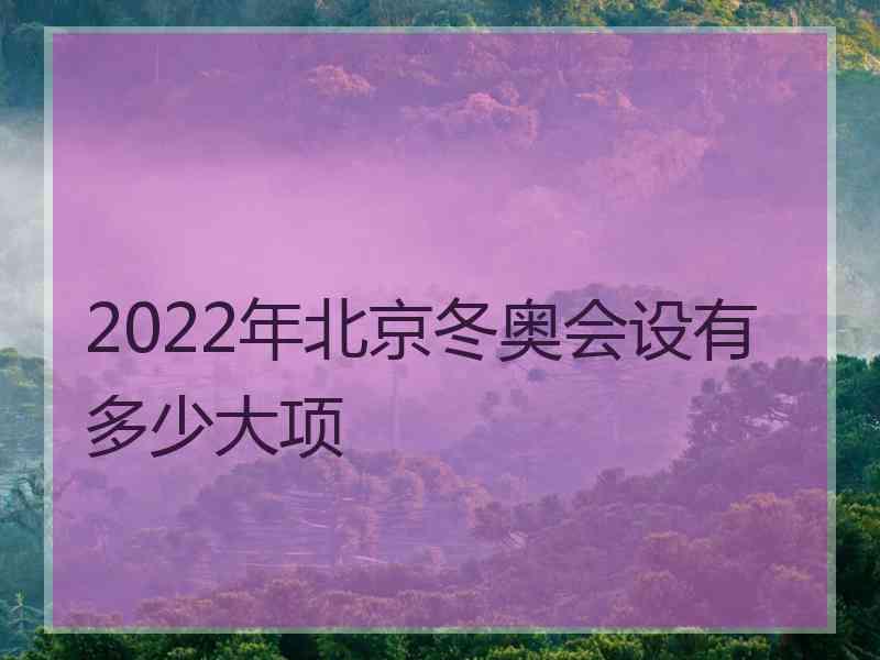 2022年北京冬奥会设有多少大项